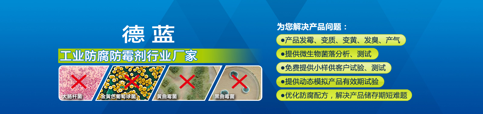 山东德蓝化工有限公司